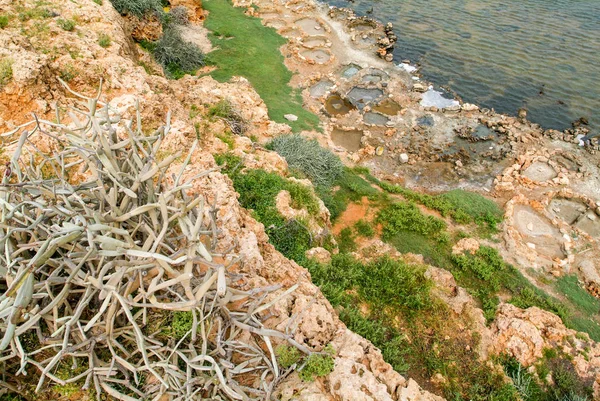 Minería de sal en la isla de Socotra —  Fotos de Stock