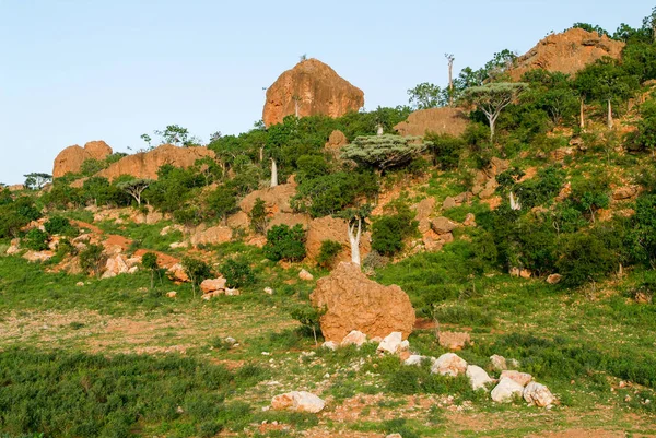 Valley center Sokotra Adası'nda dağlarda — Stok fotoğraf