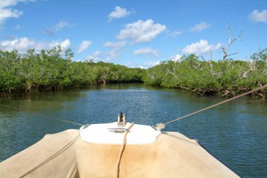 Mayotte sahil, mangrovlar tekne turu