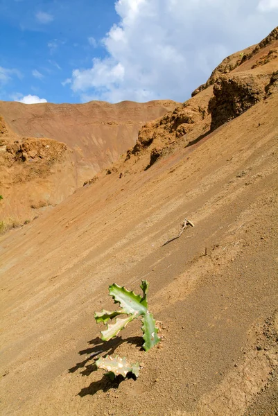 Desertic landschap van Mayotte en Reunion — Stockfoto