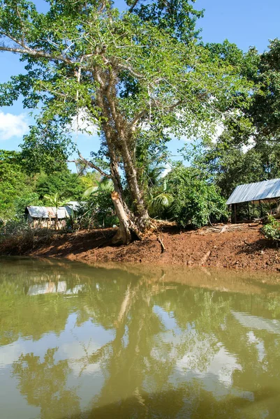 Backwaters på ön Mayotte kusten — Stockfoto