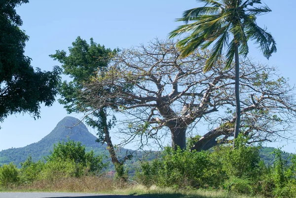 Landschap met mount Choungui op het eiland Mayotte — Stockfoto