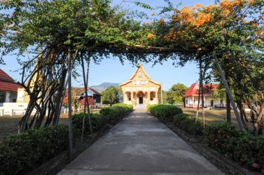 Budist tapınağı Champasak