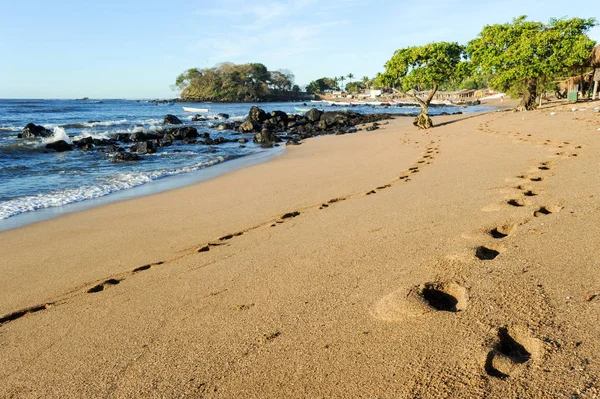 Fotavtryck på stranden av Los Cobanos — Stockfoto