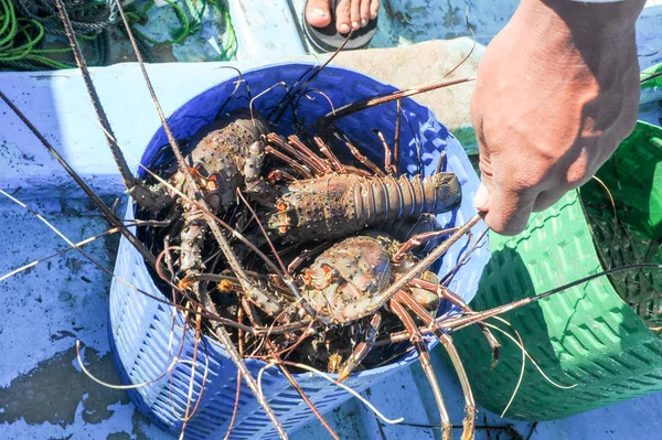 Los Cobanos, El Salvador--18 januari 2014: Kreeft visser op — Stockfoto