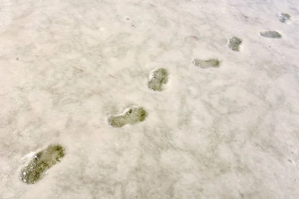 Donmuş bir gölün üzerinde ayak izleri — Stok fotoğraf