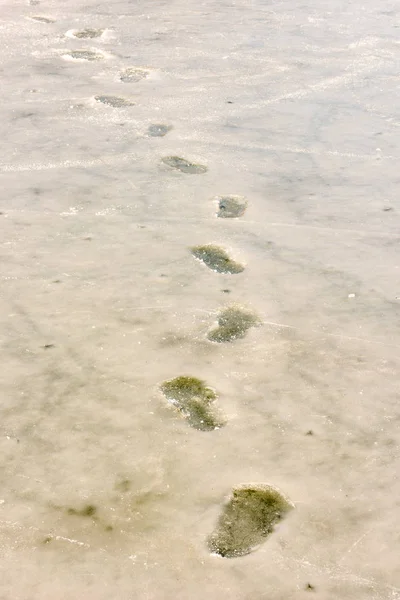 Pegadas em um lago congelado — Fotografia de Stock