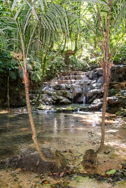 Vodopád v hlubokých lesů Palenque — Stock fotografie