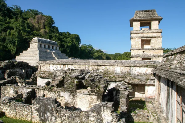 Руины Паленке, города Майя в Чьяпасе — стоковое фото