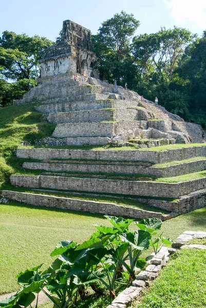 Ruinele orașului Palenque, orașul Maya din Chiapas — Fotografie, imagine de stoc