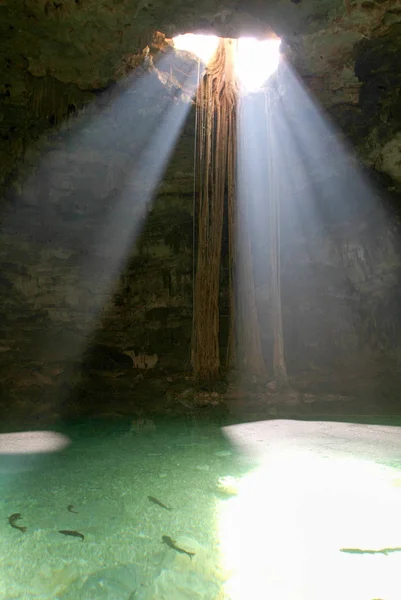 Cenote Samula fica a 7 km do centro da cidade Valladolid — Fotografia de Stock