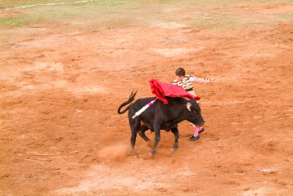 Michelito é o torero mais jovem do mundo — Fotografia de Stock