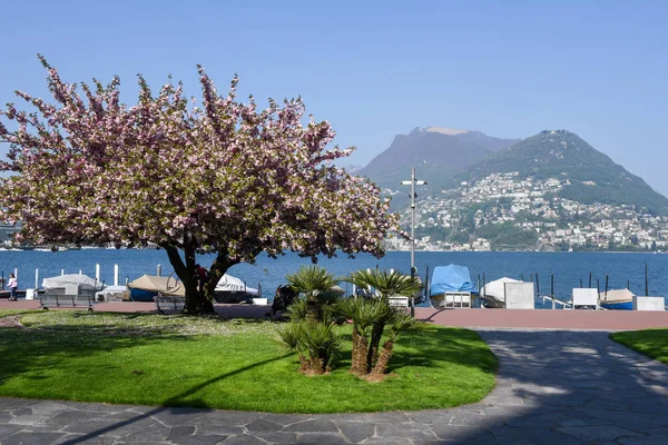 Le bord du lac de Lugano sur la partie italienne de la Suisse — Photo