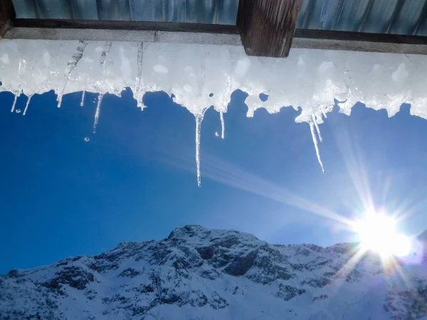 Beautiful shiny transparent icicles — Stock Photo, Image