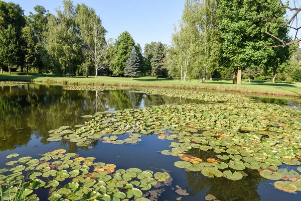 The lake of the golf course at Magliaso — Stock Photo, Image