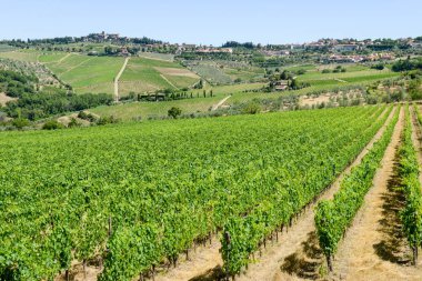 Tuscany üzerinde Chianti üzüm bağları ve kırsal manzara