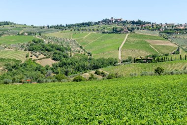 Tuscany üzerinde Chianti üzüm bağları ve kırsal manzara