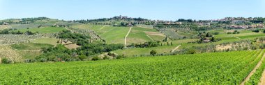 Tuscany üzerinde Chianti üzüm bağları ve kırsal manzara