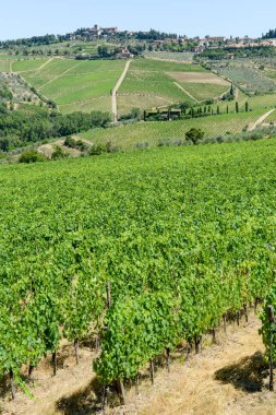 Tuscany üzerinde Chianti üzüm bağları ve kırsal manzara