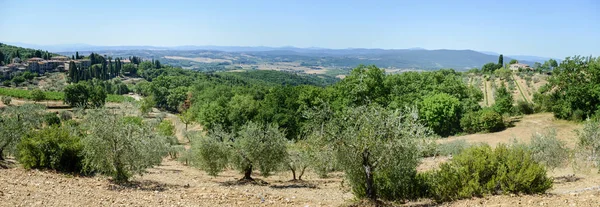 Wiejski krajobraz, w pobliżu miejscowości Castellina in Chianti, na Toskanii — Zdjęcie stockowe