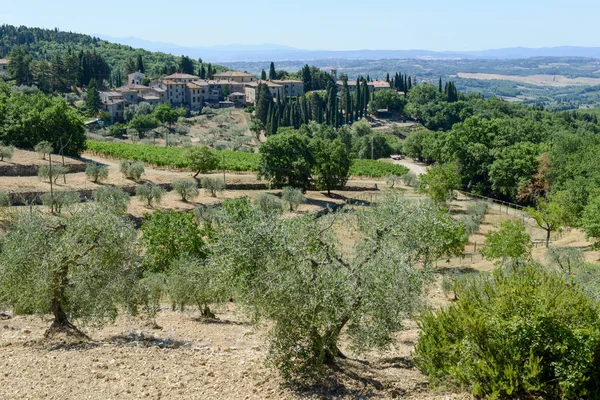 Rural landscape near Castellina in Chianti on Tuscany — Stock Photo, Image