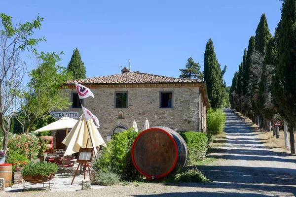 Videira perto de Castellina in Chianti na Toscana, Itália — Fotografia de Stock