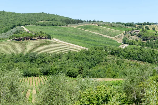 Wiejski krajobraz Chianti winnic na Toskanii — Zdjęcie stockowe