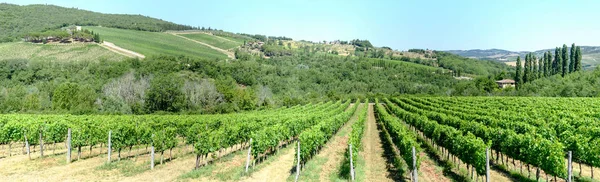 Landsbygdens landskap av Chianti vingårdar på Tuscany — Stockfoto