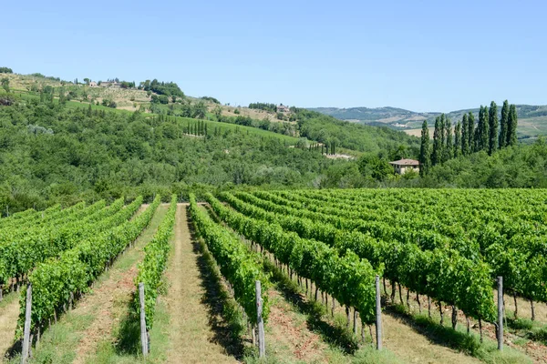 A Chianti szőlőültetvényekkel toszkán vidéki táj — Stock Fotó