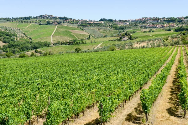 Venkovská krajina vinic Chianti v Toskánsku — Stock fotografie