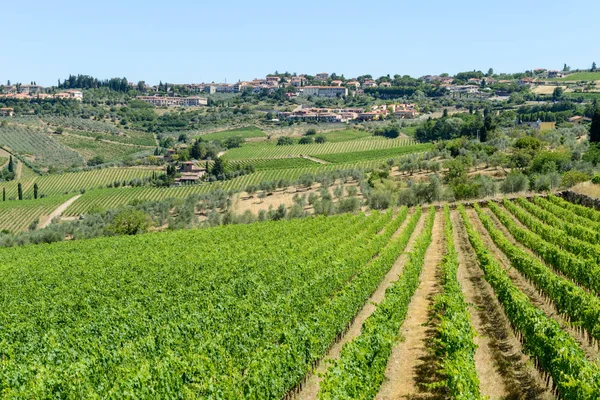 Venkovská krajina vinic Chianti v Toskánsku — Stock fotografie
