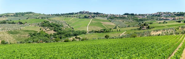 Landsbygdens landskap av Chianti vingårdar på Tuscany — Stockfoto