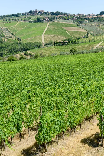 Venkovská krajina vinic Chianti v Toskánsku — Stock fotografie