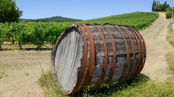 Barile di vino Chianti in un vigneto in Toscana — Foto Stock