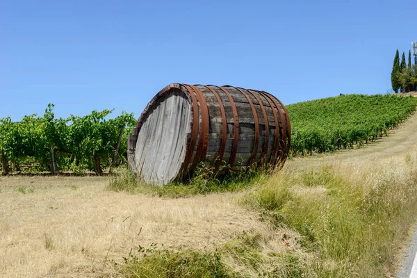 Barile di vino Chianti in un vigneto in Toscana — Foto Stock
