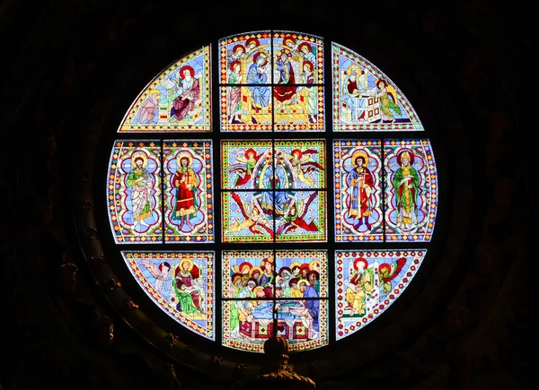 Detail van het raam in de kathedraal van Siena — Stockfoto