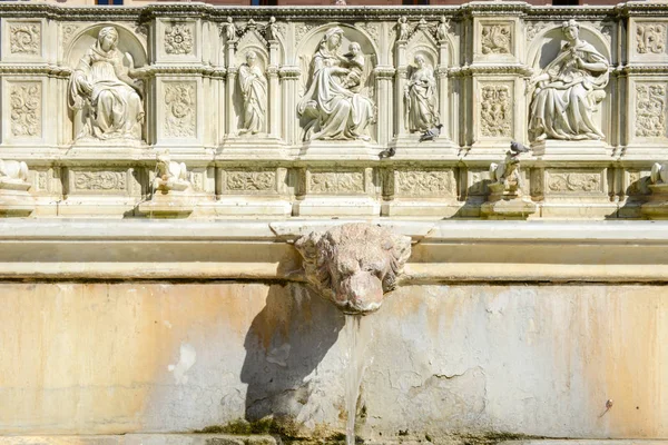 Fontaine Gaia Piazza del Campo à Sienne, Italie — Photo