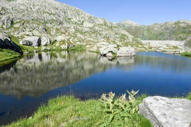 Dağ manzara Gotthard pass