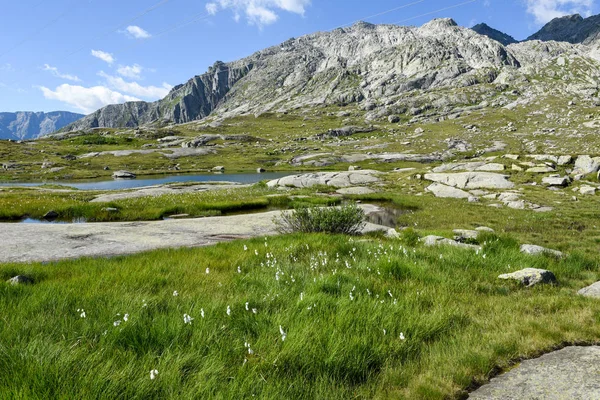 Mountain landskab af Gotthard pass - Stock-foto