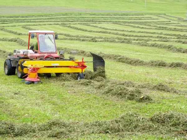 Agriculteur sur son tracteur qui déplace l'herbe pour la rendre sèche à Engelberg sur les Alpes suisses — Photo