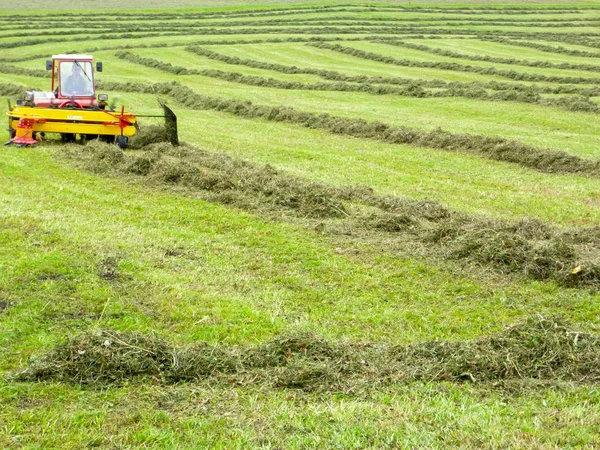 Agriculteur sur son tracteur qui déplace l'herbe pour la rendre sèche à Engelberg sur les Alpes suisses — Photo