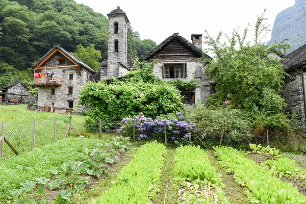 Das ländliche dorf foroglio im bavona-tal, schweiz — Stockfoto