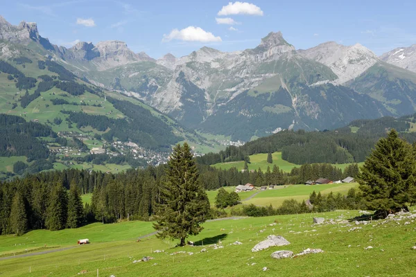 Αγροτική θέα Ένγκελμπεργκ στην Ελβετία — Φωτογραφία Αρχείου