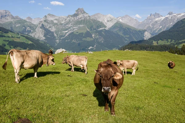 Landsbygdens landskap på village i Engelberg på Schweiz — Stockfoto
