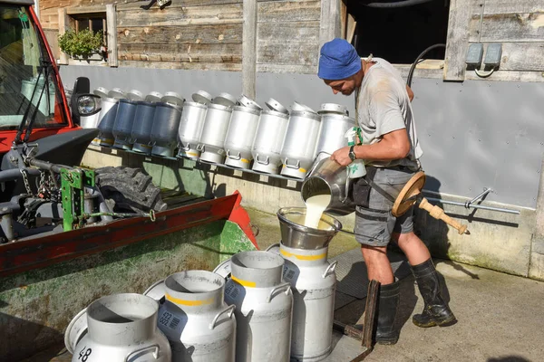 Рабочий наливает молоко в резервуары на ферме — стоковое фото
