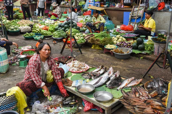 Lady selling fish at the market of Battambang on Cambodia — Stock Photo, Image