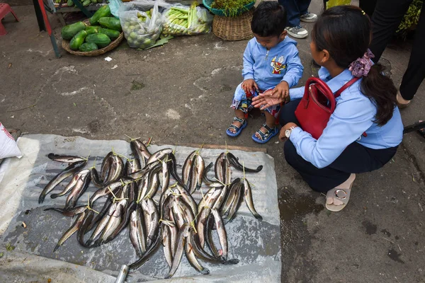 Lady selling fish at the market of Battambang on Cambodia — Stock Photo, Image
