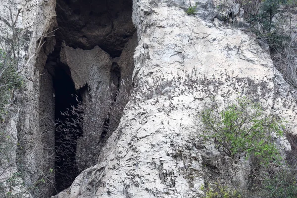 Кажани летить поспіль на горі відділяють Sempeau, Камбоджа — стокове фото