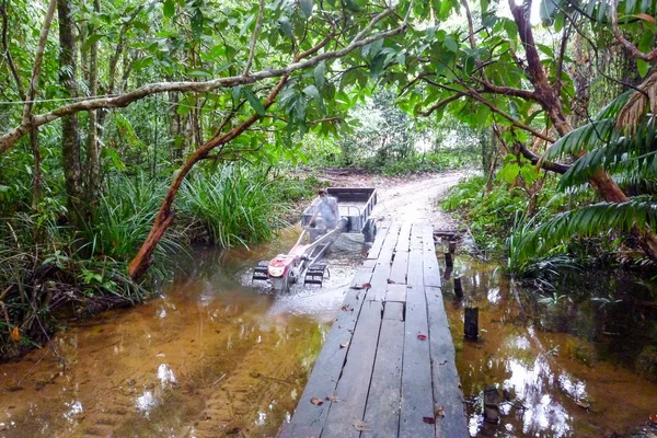 Cesta v džungli na ostrově Koh Rong Sanloem, Kambodža — Stock fotografie