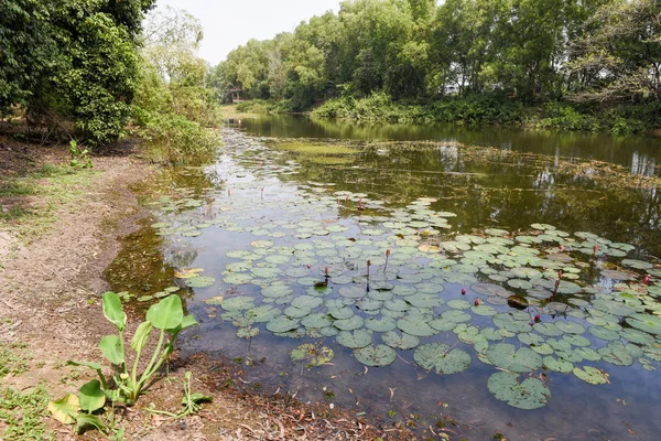 Lake van Choeung Ek doden van velden in de buurt van Phnom Penh, Cambodja — Stockfoto